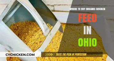 Ohio's Best Sources for Organic Chicken Feed: A Local Guide