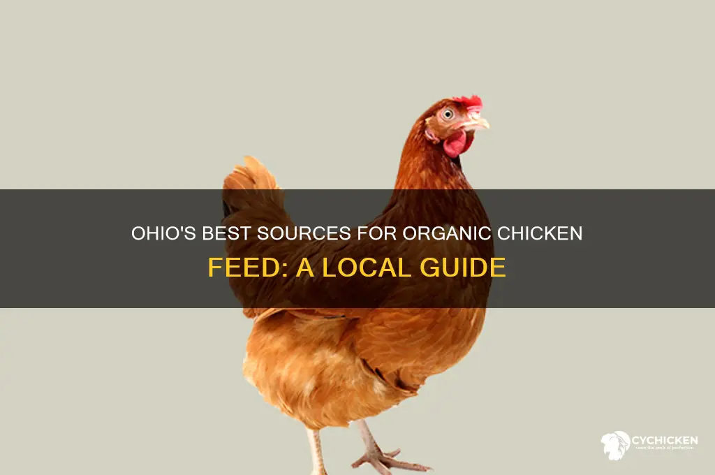 where to buy organic chicken feed in ohio