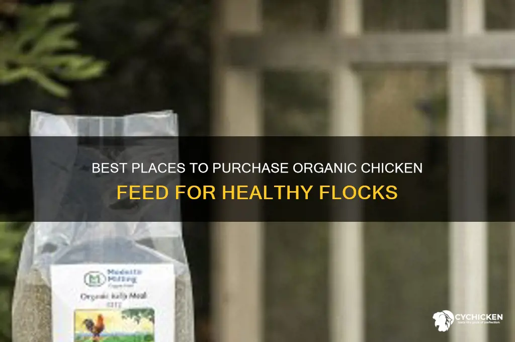where to buy organic chicken feed