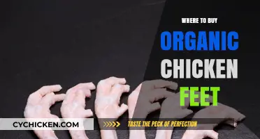Discover the Best Places to Buy Organic Chicken Feet Online