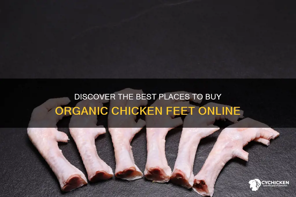 where to buy organic chicken feet