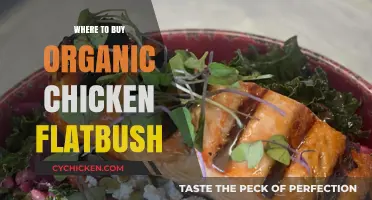 Best Spots to Buy Organic Chicken in Flatbush Brooklyn