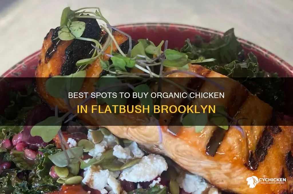 where to buy organic chicken flatbush