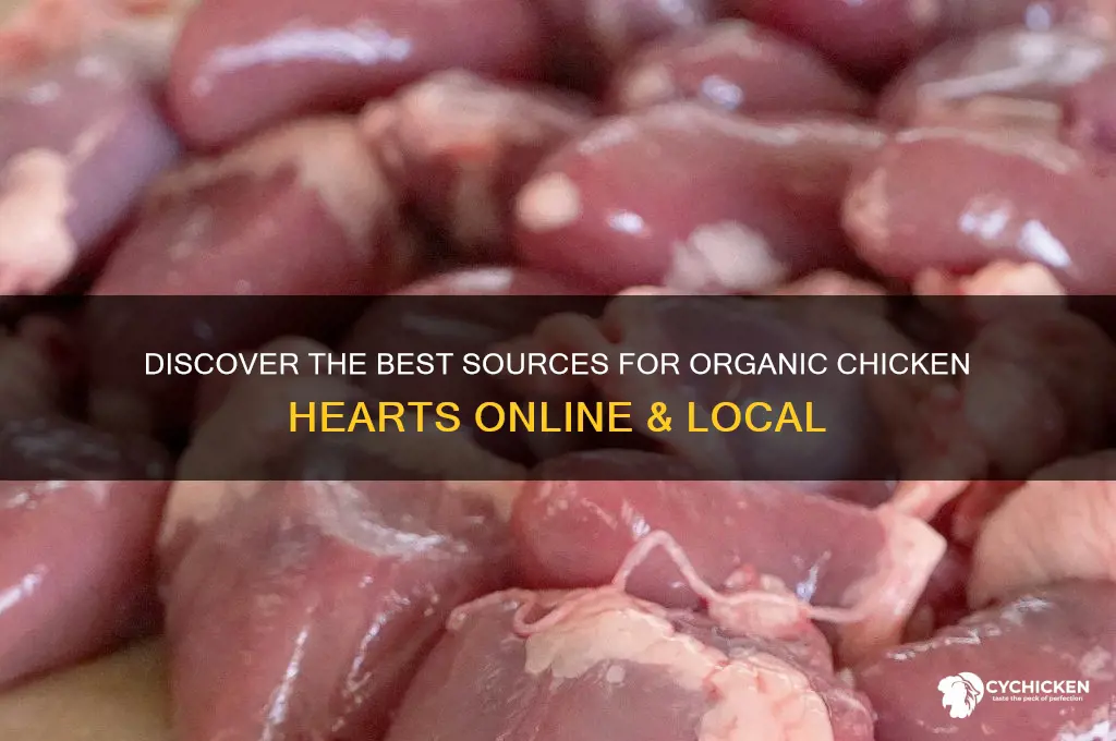 where to buy organic chicken hearts