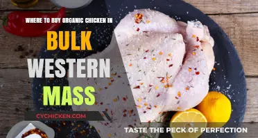 Best Bulk Organic Chicken Suppliers in Western Massachusetts: A Guide