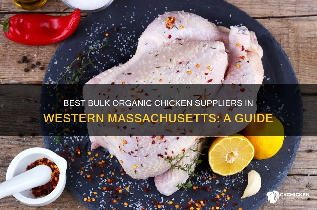 where to buy organic chicken in bulk western mass