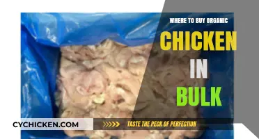 Best Places to Buy Organic Chicken in Bulk Online & Locally
