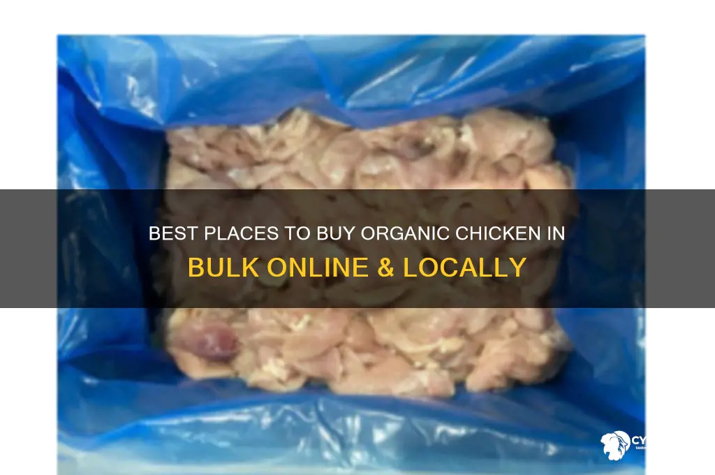 where to buy organic chicken in bulk