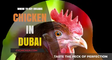 Discover Top Spots to Buy Organic Chicken in Dubai