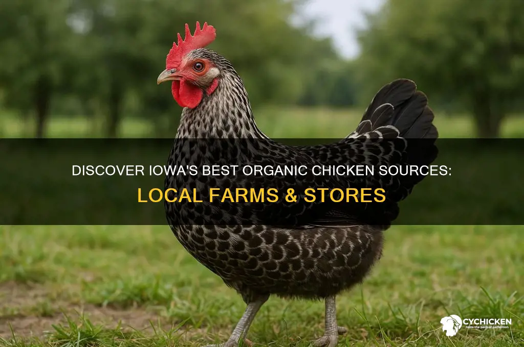 where to buy organic chicken in iowa