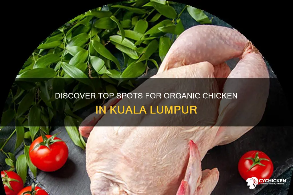 where to buy organic chicken in kuala lumpur