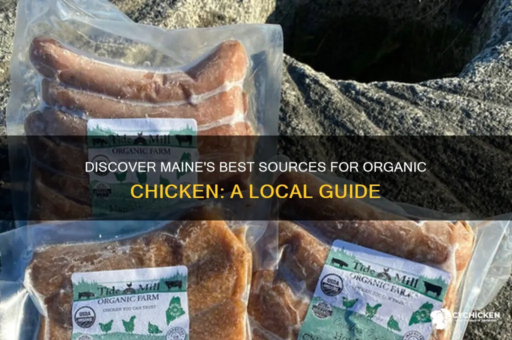 where to buy organic chicken in maine