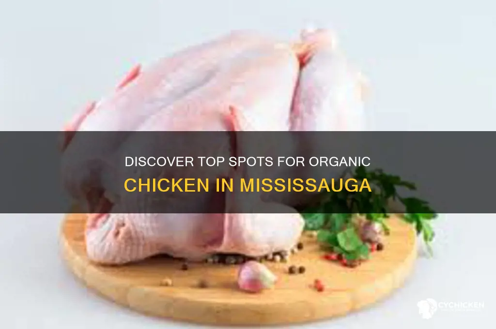 where to buy organic chicken in mississauga