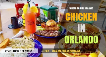 Orlando's Best Spots for Organic Chicken: A Shopper's Guide