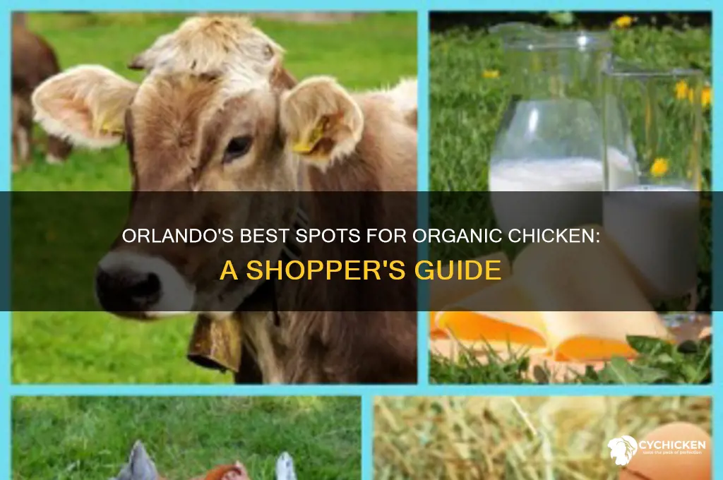 where to buy organic chicken in orlando