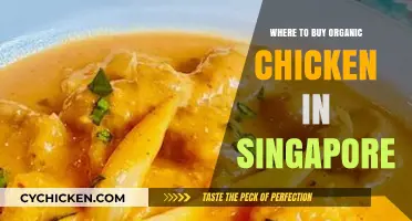 Discover Singapore's Best Spots for Organic Chicken Purchases