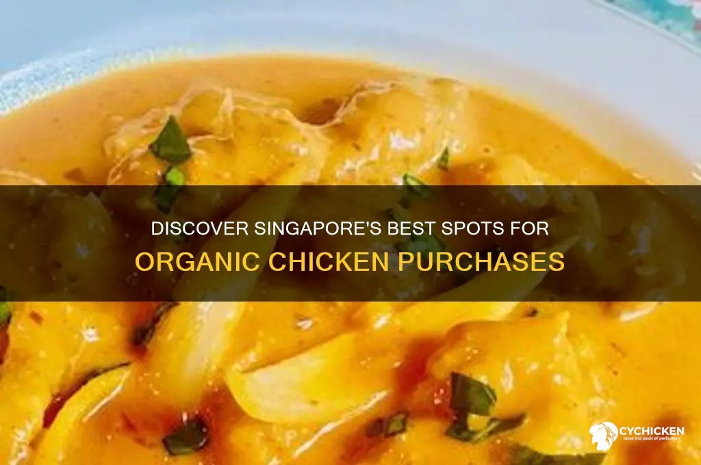 where to buy organic chicken in singapore
