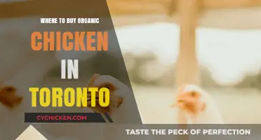 Discover Toronto's Best Spots for Organic Chicken Purchases