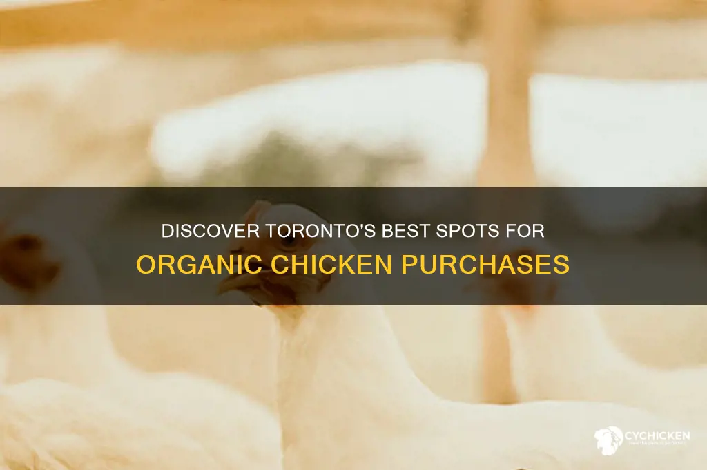 where to buy organic chicken in toronto