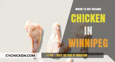 Discover Winnipeg's Best Spots for Organic Chicken Purchases