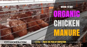 Best Places to Purchase Organic Chicken Manure for Your Garden