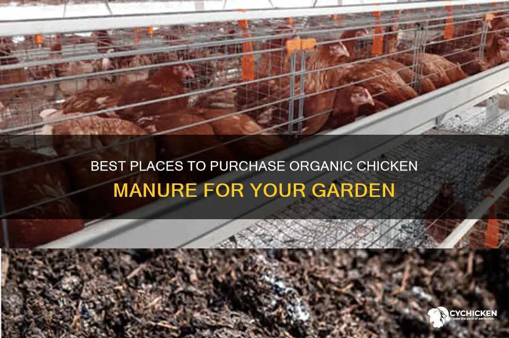 where to buy organic chicken manure