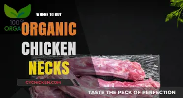 Best Places to Buy Organic Chicken Necks for Healthy Pets