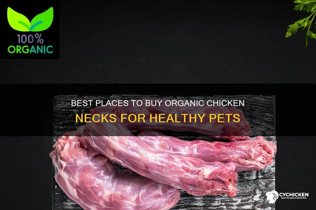 where to buy organic chicken necks