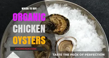 Discover Top Spots to Buy Organic Chicken Oysters Locally & Online