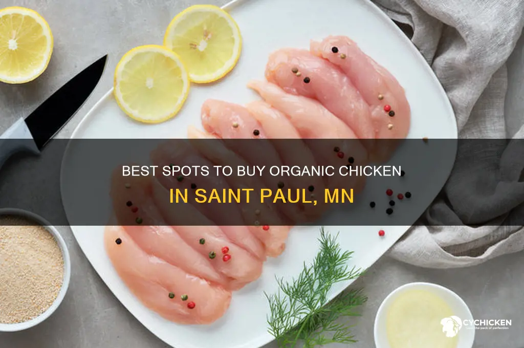 where to buy organic chicken saint paul mn