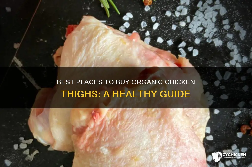 where to buy organic chicken thighs