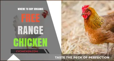 Discover Top Sources for Organic Free-Range Chicken Near You