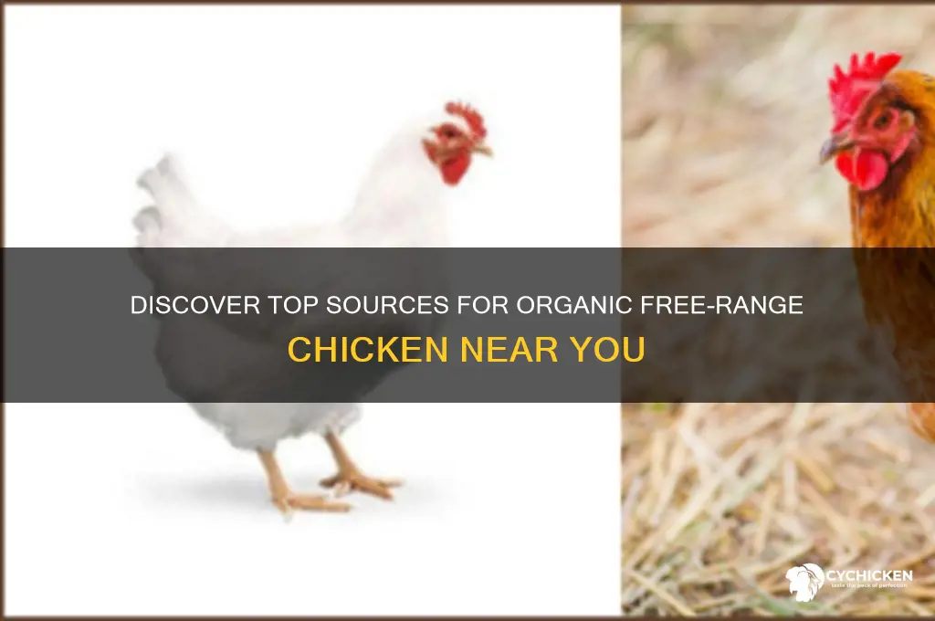 where to buy organic free range chicken