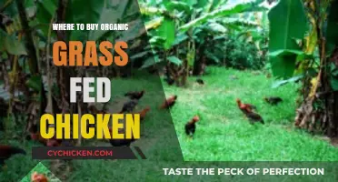 Discover Top Sources for Organic Grass-Fed Chicken Near You