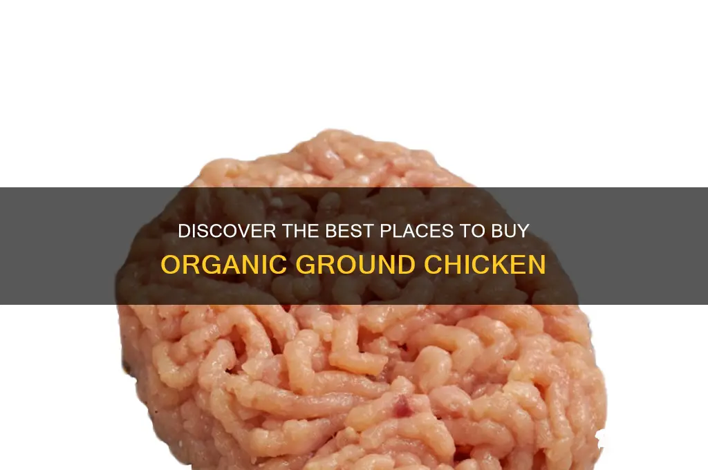 where to buy organic ground chicken