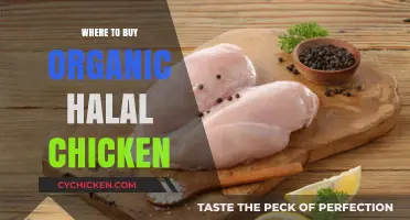 Discover Top Sources for Organic Halal Chicken Near You
