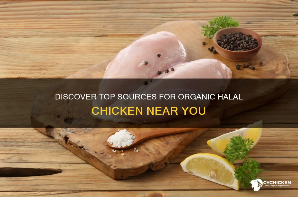 where to buy organic halal chicken