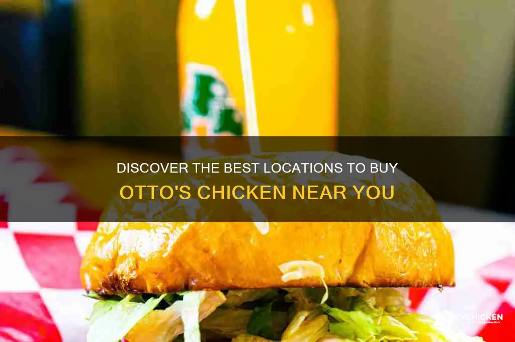 where to buy otto