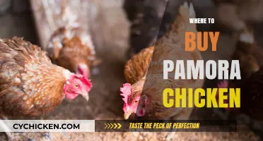 Discover the Best Places to Buy Pamora Chicken Near You