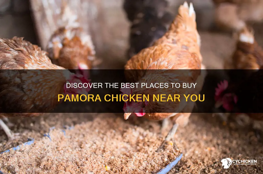 where to buy pamora chicken