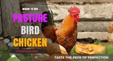 Discover the Best Sources to Buy Pasture-Raised Chicken Near You