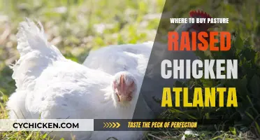 Discover Atlanta's Best Sources for Pasture-Raised Chicken Today