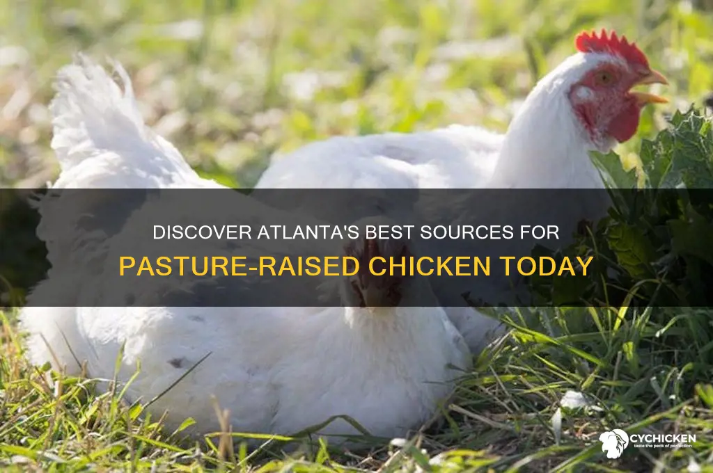 where to buy pasture raised chicken atlanta