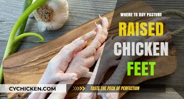 Where to Find Pasture-Raised Chicken Feet: A Buyer's Guide