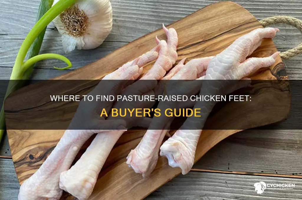 where to buy pasture raised chicken feet