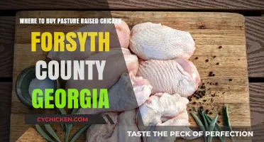 Find Pasture-Raised Chicken in Forsyth County, Georgia: Top Sources