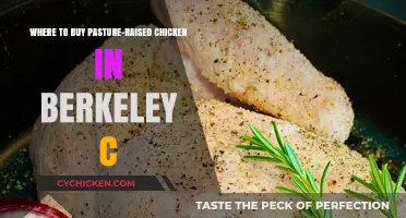 Discover Berkeley's Best Sources for Pasture-Raised Chicken Today