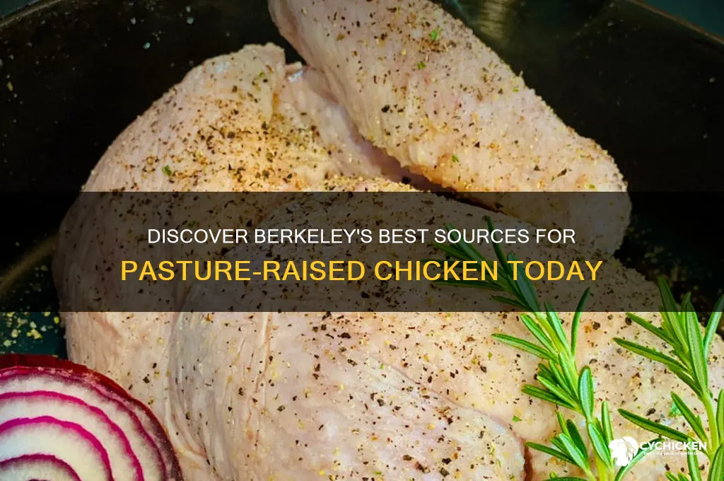 where to buy pasture-raised chicken in berkeley c