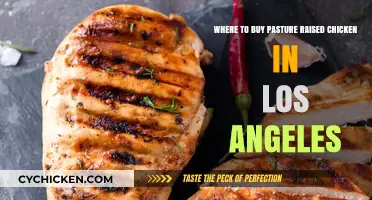 Discover Top Spots for Pasture-Raised Chicken in Los Angeles