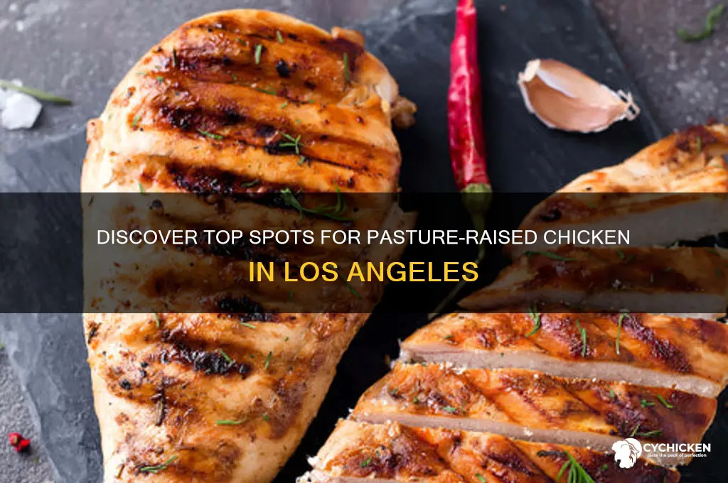 where to buy pasture raised chicken in los angeles